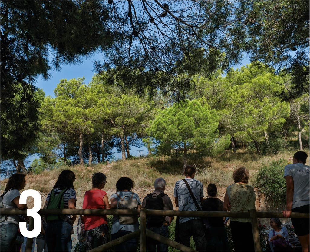 1. Disseny participatiu de la passejada: